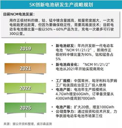 5月新能源乘用車市場增速放緩，投資管理面臨新考量